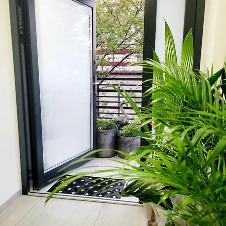Apartment Dolce